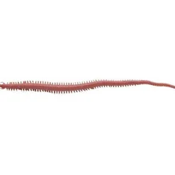 Appat Artificiel Berkley Gulp Sandworm Néréïs - 15Cm - Par 10