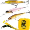 Box Truite Fishxplorer Poissons Nageur