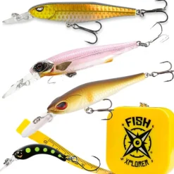Box Truite Fishxplorer Poissons Nageur