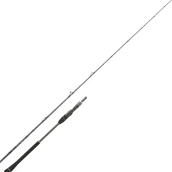 Canne Casting Daiwa Legalis Jigging