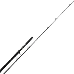 Canne Casting N.S Black Hole Boca Jigging