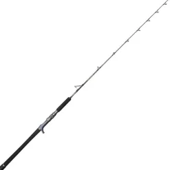 Canne Casting Penn Battalion Solid Jigging Spiral Guide Rod