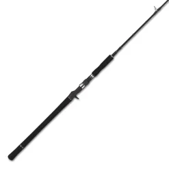 Canne Casting Tailwalk Jigforce Ssd C603