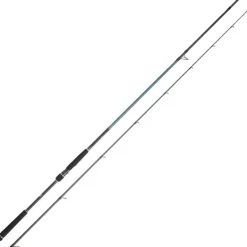 Canne Daiwa Caldia Seabass