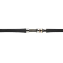 Canne Daiwa Morethan Branzino Expert