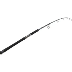 Canne Daiwa Saltiga Air Portable