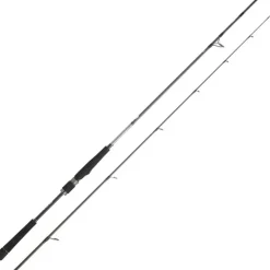 Canne Daiwa Saltist Seabass