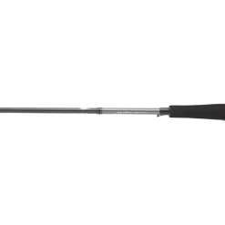 Canne Daiwa Saltist Seabass