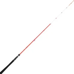 Canne Daiwa Sensor Palangrotte