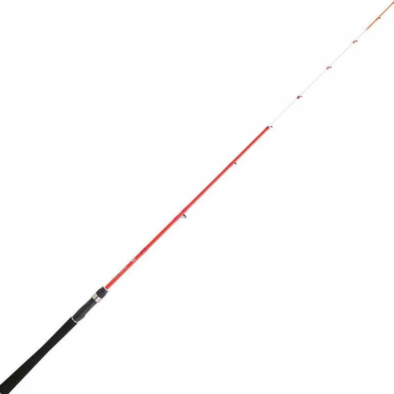 Canne Daiwa Sensor Palangrotte