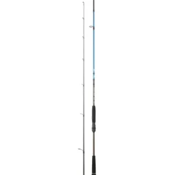 Canne Daiwa Spitfire Seabass