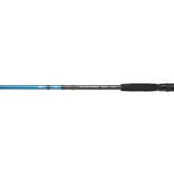 Canne Daiwa Spitfire Seabass