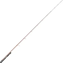 Canne Eging Tenryu Ikagami Tr 68 Mh