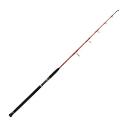 Canne Exotique Tenryu Big Fiber Jig