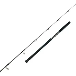 Canne Graphiteleader Protone Boat