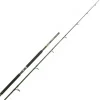 Canne Mer Italcanna Gt Special Popping