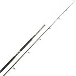 Canne Mer Italcanna Gt Special Popping