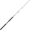 Canne Mer Italcanna Jigging