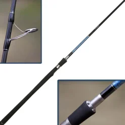 Canne Mer Smith Dragonbait Sea-Bass Drags 100H