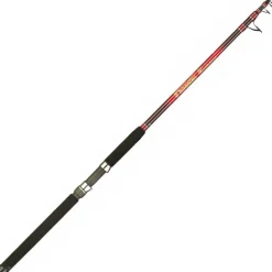 Canne Mer Telescopique Italcanna Phoenix