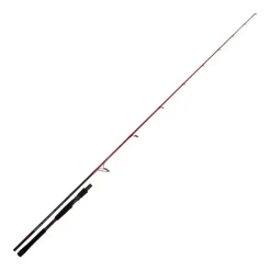 Canne Mer Tenryu Injection Sp 73 Xh