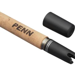 Canne Penn Regiment Iv Pro Boat Rod