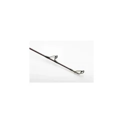 Canne Savage Gear Fury Sg6 Boat Rod