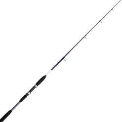 Canne Shakespeare Salt Boat Rod