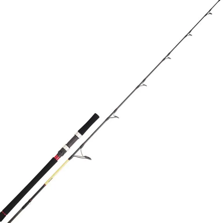 Canne Spinning Daiwa Grandwave