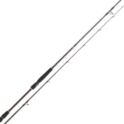Canne Spinning Daiwa Infeet Seabass