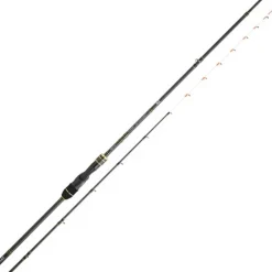 Canne Spinning Daiwa Team Daiwa Tenya
