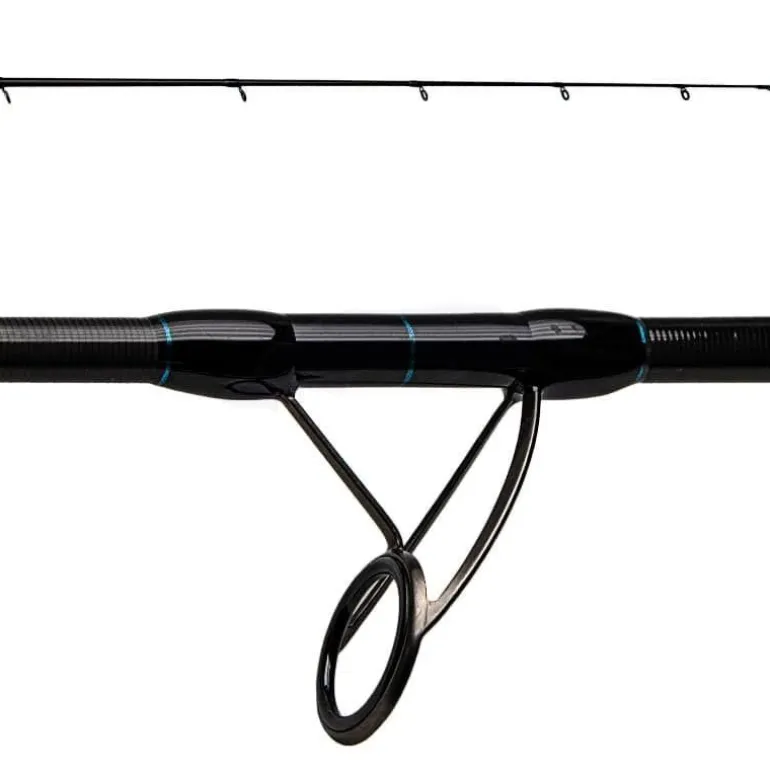Canne Spinning Favorite X1 Saltwater