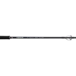 Canne Spinning Major Craft Ceana Seabass