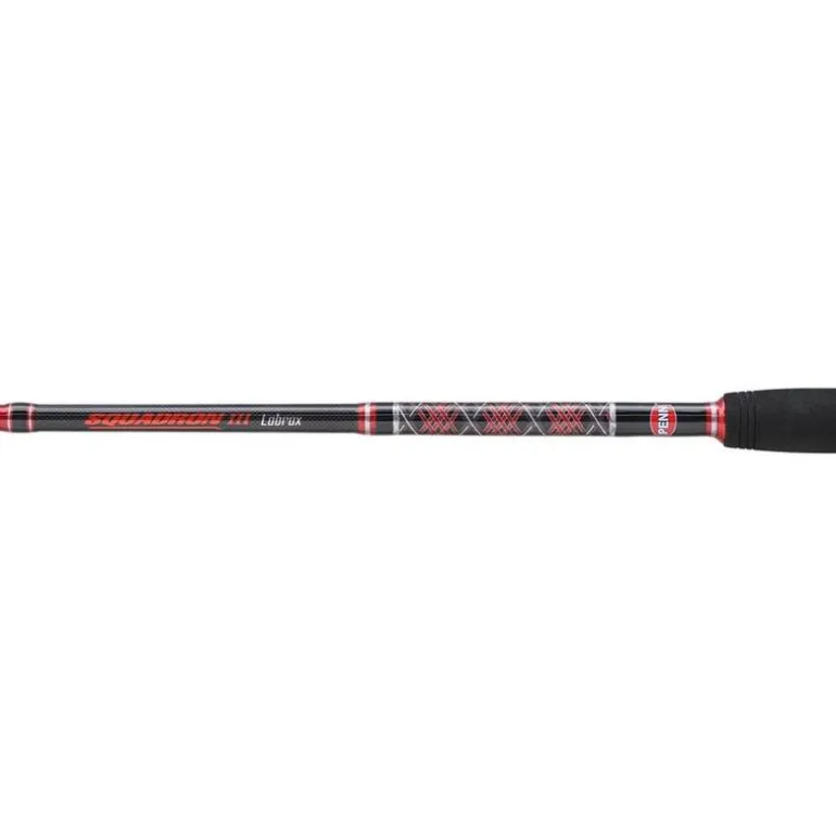 Canne Spinning Penn Squadron Iii Labrax Spinning Rod