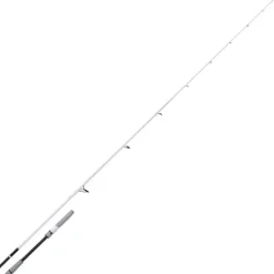 Canne Spinning Shimano Stradic Spinning Seabass