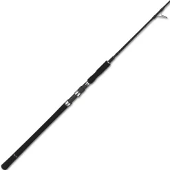 Canne Spinning Tailwalk Jigforce Ssd S603