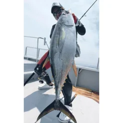 Canne Spinning Tailwalk Kuroshio Oc 80H