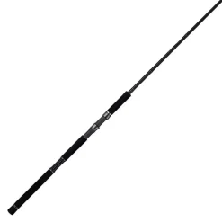 Canne Spinning Tailwalk Rize Shooter Ssd S910h