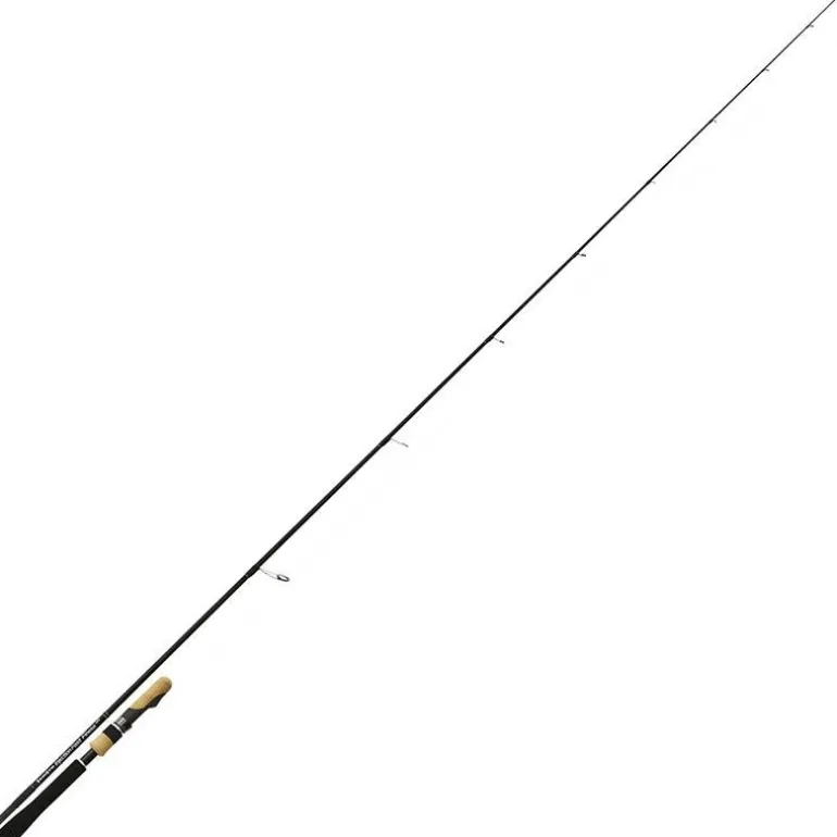 Canne Spinning Tenryu Injection Fast Finess Mh