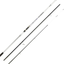 Canne Surf Daiwa Shorecast Surf X