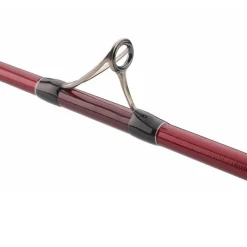 Canne Surf Daiwa Tournament Caster Evo