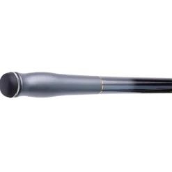 Canne Surf Daiwa Tournament Competition Z