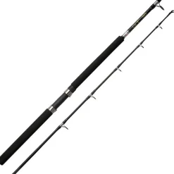Canne Traine Abu Garcia Gt Trolling