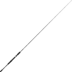 Canne Tubertini Shibani