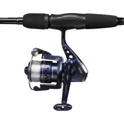 Ensemble Spinning Mitchell Neuron Sw Spin Combo