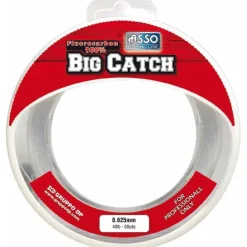 Fluorocarbone Asso Big Catch
