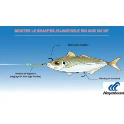 Hamecon Monté Hayabusa Snapper Adjustable Rig Ex304