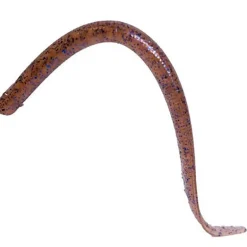 Leurre Souple Reins Swamp Eel 8” - 20.3Cm