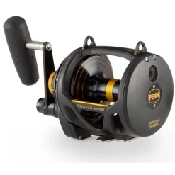 Moulinet Mer Traine Penn Squall Lever Drag 2 Speed