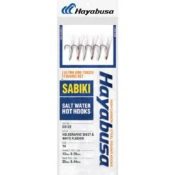 Train De Plume Hayabusa Sabiki Ex122